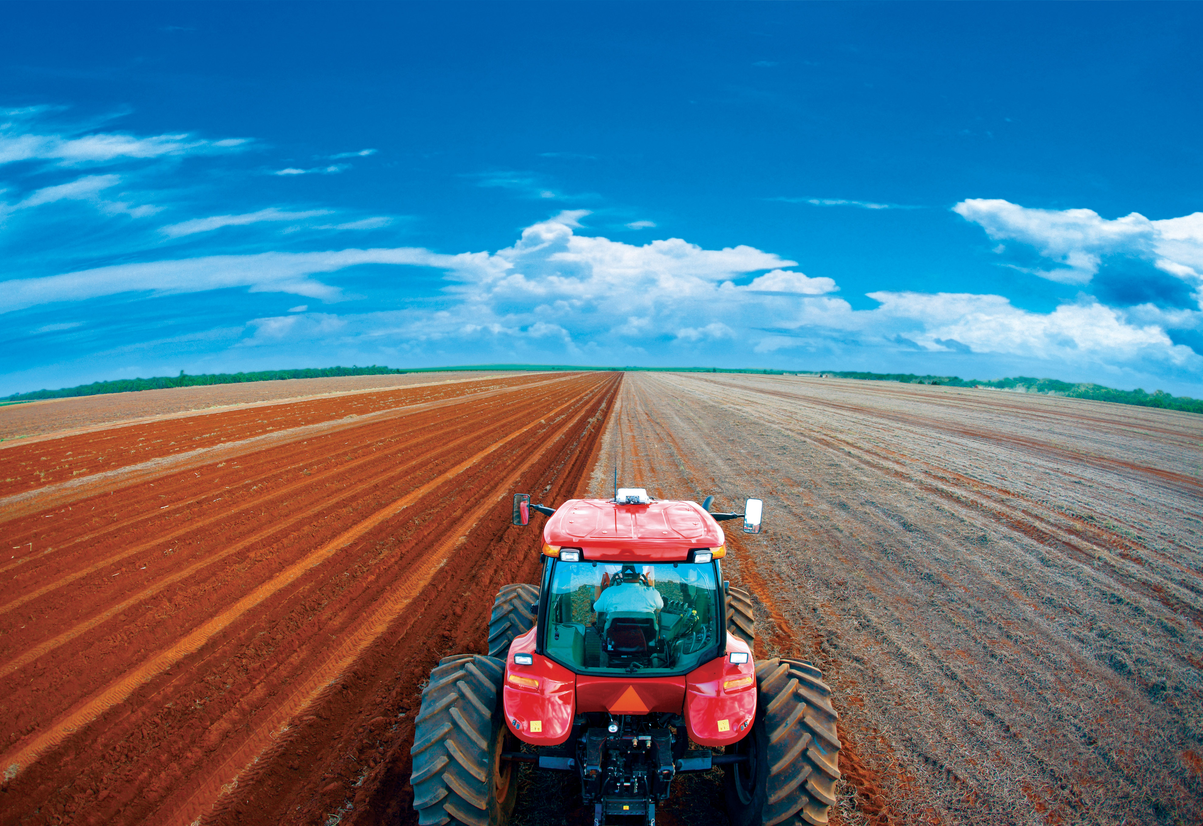 Produção de soja no Tocantins avança, mas preocupações com chuvas e comercialização persistem